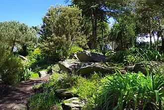 La Terrasse ouest et sa végétation méditerranéenne.