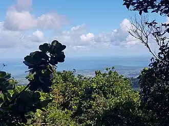Vue à partir du sommet de la tête Allègre.