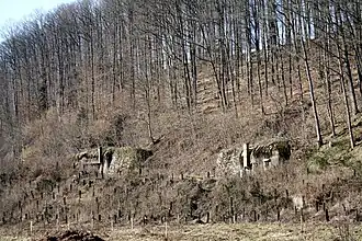 Vue générale de l'abri.