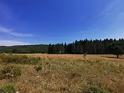 Vue large de la portion de plateau avec les menhirs au centre.