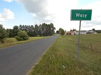 Wąsy