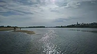 L'île Meslet vue depuis le pont d'Ingrandes.