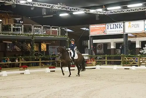 Emmelie Scholtens sur Apache à Rosendael en 2015.