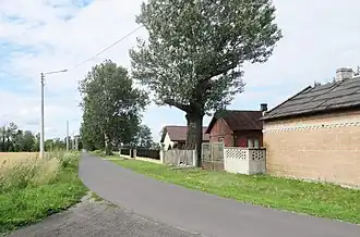 Wyczółki (Grodzisk Mazowiecki)