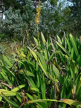 Description de cette image, également commentée ci-après