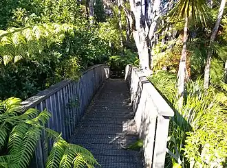 Waiatarua