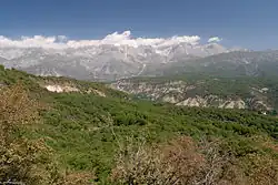 Forêt de noyers d'Arslanbob