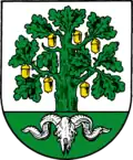 Blason de Bergen