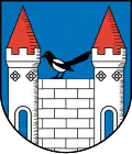 Blason de Elsterberg