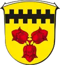 Blason de Hasselroth