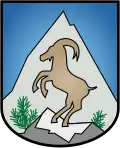 Blason de Mittelberg
