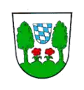 Blason de Tännesberg