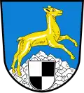 Blason de Thierstein
