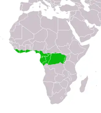 Description de l'image Water_Chevrotain_Distribution_Map.png.