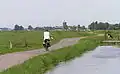 Cycliste au bord d'un canal du Waterland.