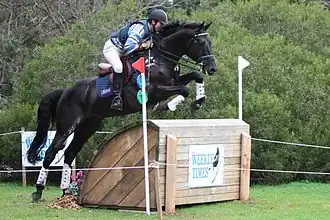 Image illustrative de l’article Shane Rose