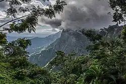 Montagnes d'Usambara (Tanzanie)