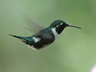 Description de cette image, également commentée ci-après