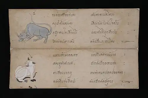 Illustrations d'un chat Korat et d'un chat Siamois avec description poétique.
