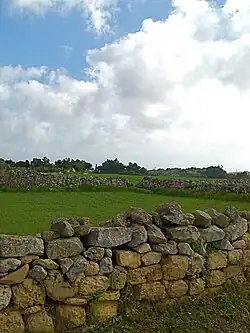 Muret sur lequel sont jetées des pierres retirées du champ, à Attard (île de Malte).