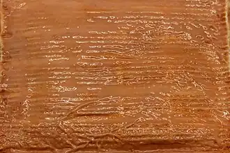 Détail de la croûte.