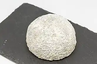 Taupinière du Poitou.