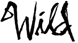 Description de l'image Wild (film, 2014).png.