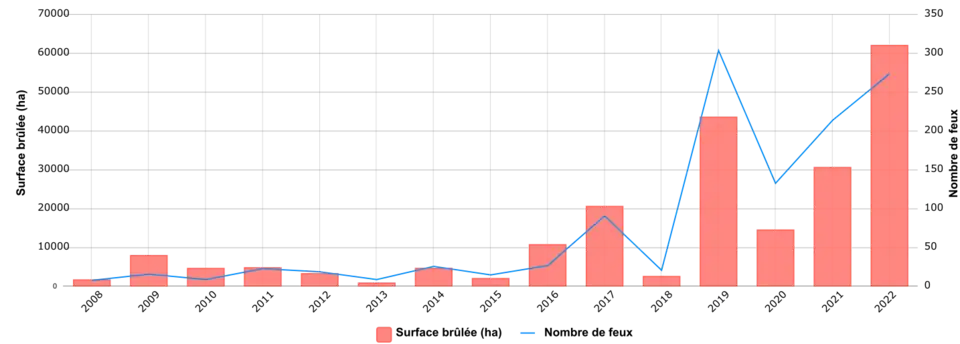 Surface brûlée et nombre d'incendies de forêts par an en France sur la période 2008-2022.