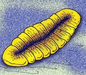 Description de cette image, également commentée ci-après