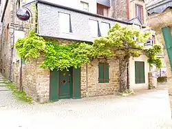 Glycine de 160 ans, classée arbre remarquable des Côtes-d'Armor, 1,20 m de circonférence.