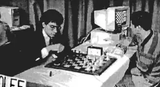 Portrait d'un persan chinchilla.