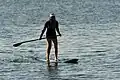 Stand up paddle.