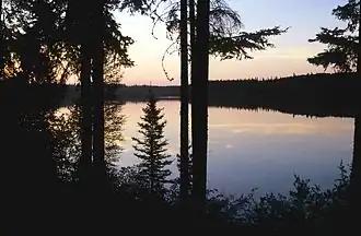 Lac Pine