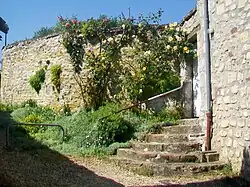 Le Sentier des demoiselles.