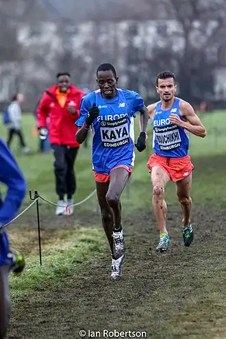 Image illustrative de l’article Aras Kaya