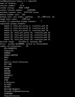 Description de l'image Xdpyinfo screenshot.png.