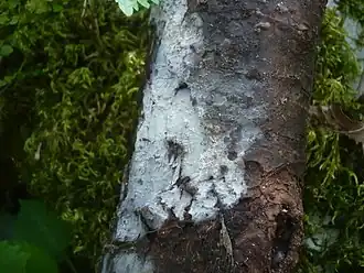 Description de cette image, également commentée ci-après