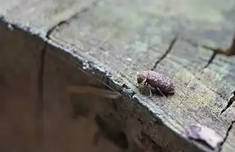 Dans son environnement.