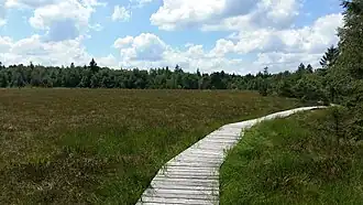 Tourbière des Charmes au-dessus du col de Xiard.
