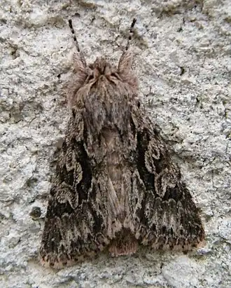 Description de cette image, également commentée ci-après