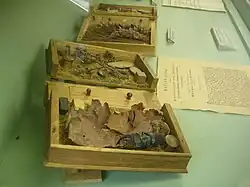 Deux volumes ouverts, contenant feuilles, rameaux, fruits, insectes et échantillons de bois