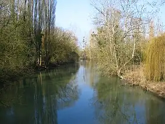 Cours d'eau de l'Yèvre, affluent du Cher.