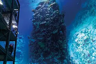 LA GRANDE BARRIÈRE DE CORAIL au panomètre de Leipzig (2015 – 2017)