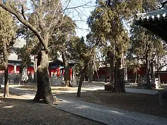 Image illustrative de l’article Temple de Yan Hui