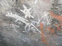 Divers animaux, Parc national de Namadgi.
