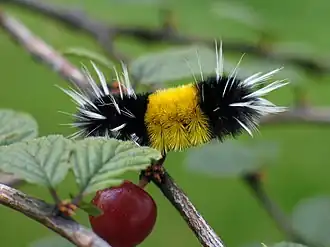 Description de cette image, également commentée ci-après
