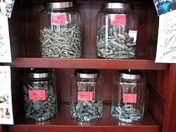 Holothuries séchées et conservées en bocal, utilisées à des fins médicinales par la médecine chinoise.