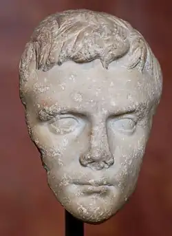 Tête d'Octave, juvénile.