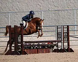 Démonstration de saut d'obstacles.