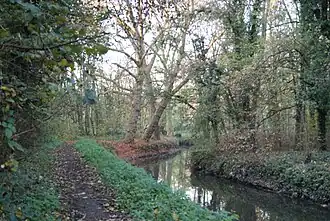 L'Yvette à Sillery.